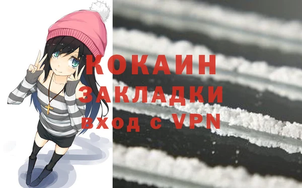 индика Бородино