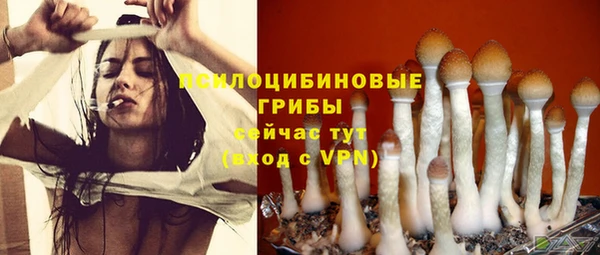 MESCALINE Верея